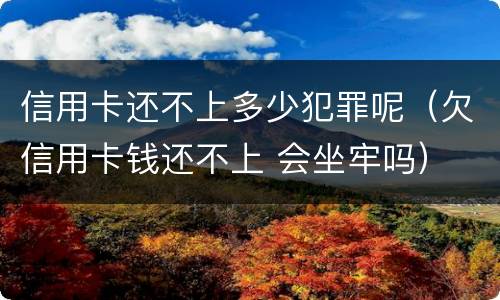 信用卡还不上多少犯罪呢（欠信用卡钱还不上 会坐牢吗）