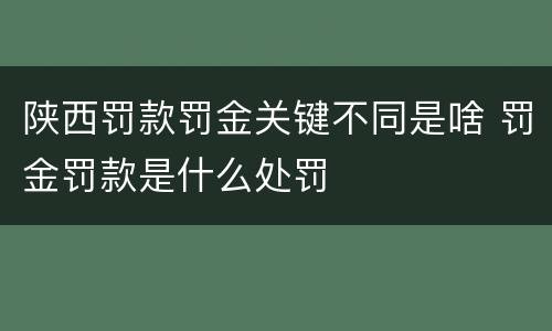 陕西罚款罚金关键不同是啥 罚金罚款是什么处罚