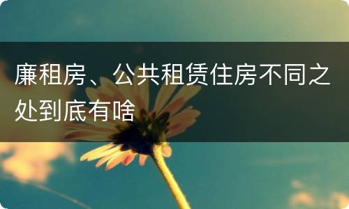 廉租房、公共租赁住房不同之处到底有啥