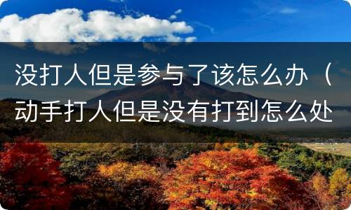 没打人但是参与了该怎么办（动手打人但是没有打到怎么处理?）
