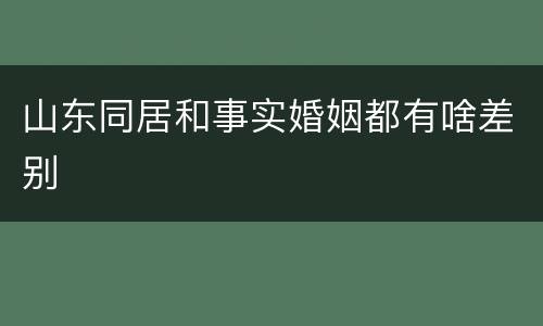 山东同居和事实婚姻都有啥差别