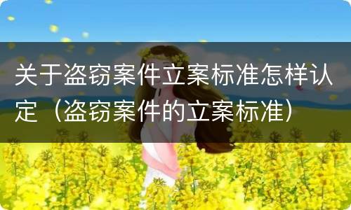 关于盗窃案件立案标准怎样认定（盗窃案件的立案标准）