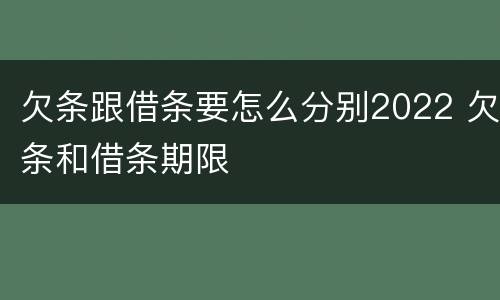 欠条跟借条要怎么分别2022 欠条和借条期限