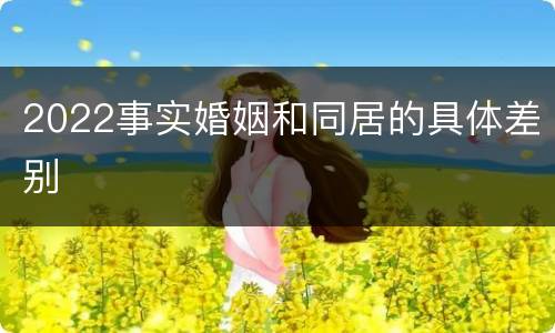 2022事实婚姻和同居的具体差别