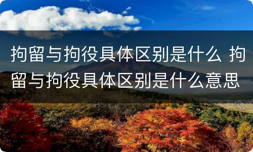 拘留与拘役具体区别是什么 拘留与拘役具体区别是什么意思