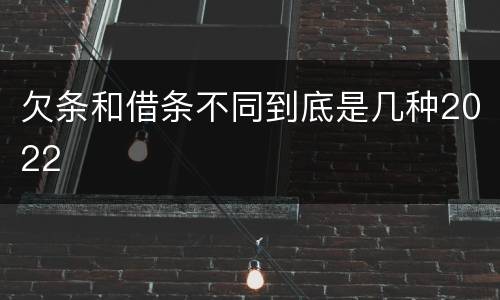 欠条和借条不同到底是几种2022