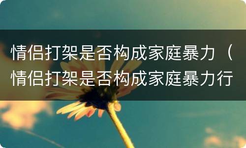 情侣打架是否构成家庭暴力（情侣打架是否构成家庭暴力行为）