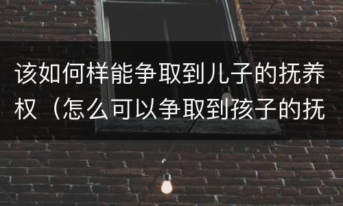 该如何样能争取到儿子的抚养权（怎么可以争取到孩子的抚养权）