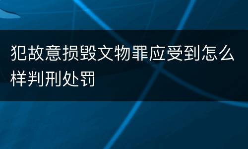 犯故意损毁文物罪应受到怎么样判刑处罚