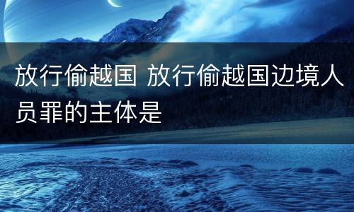 放行偷越国 放行偷越国边境人员罪的主体是