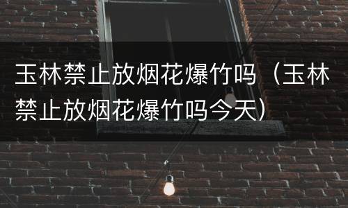 玉林禁止放烟花爆竹吗（玉林禁止放烟花爆竹吗今天）