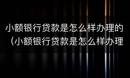 小额银行贷款是怎么样办理的（小额银行贷款是怎么样办理的手续）