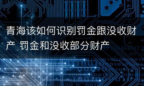 青海该如何识别罚金跟没收财产 罚金和没收部分财产