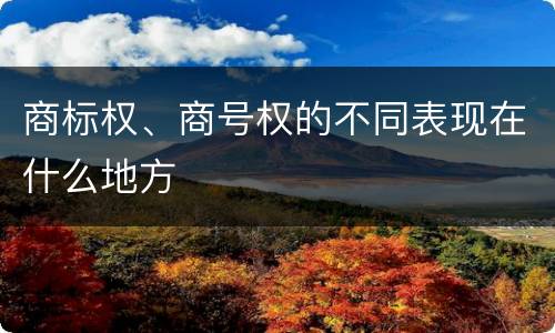 商标权、商号权的不同表现在什么地方