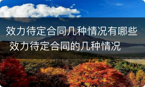 效力待定合同几种情况有哪些 效力待定合同的几种情况