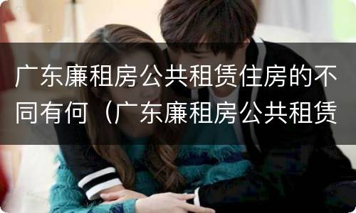 广东廉租房公共租赁住房的不同有何（广东廉租房公共租赁住房的不同有何影响）