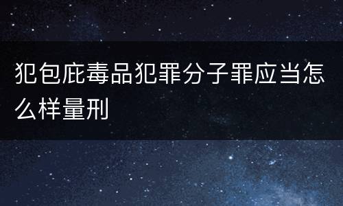 犯包庇毒品犯罪分子罪应当怎么样量刑