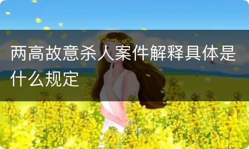 两高故意杀人案件解释具体是什么规定