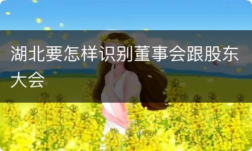湖北要怎样识别董事会跟股东大会