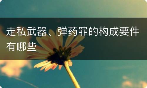 走私武器、弹药罪的构成要件有哪些