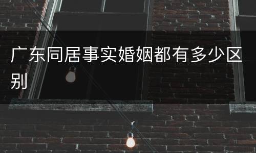 广东同居事实婚姻都有多少区别