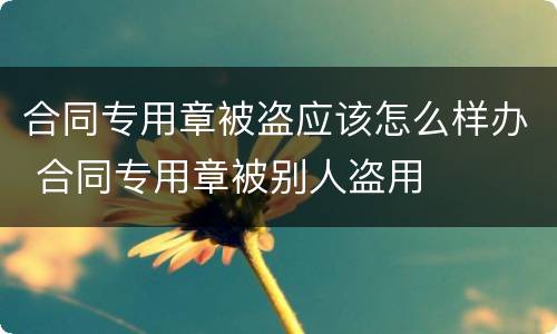 合同专用章被盗应该怎么样办 合同专用章被别人盗用