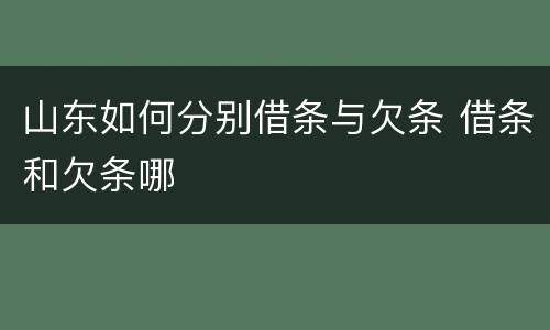 山东如何分别借条与欠条 借条和欠条哪