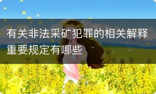 有关非法采矿犯罪的相关解释重要规定有哪些