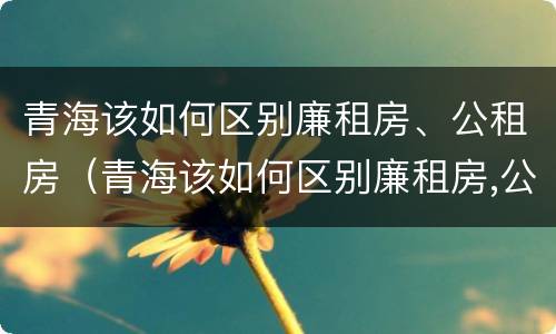 青海该如何区别廉租房、公租房（青海该如何区别廉租房,公租房和民宅）