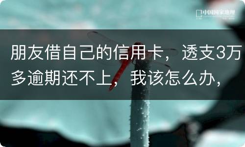 朋友借自己的信用卡，透支3万多逾期还不上，我该怎么办，给他要钱他不给