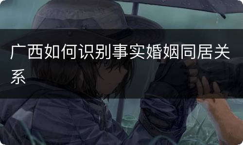 广西如何识别事实婚姻同居关系