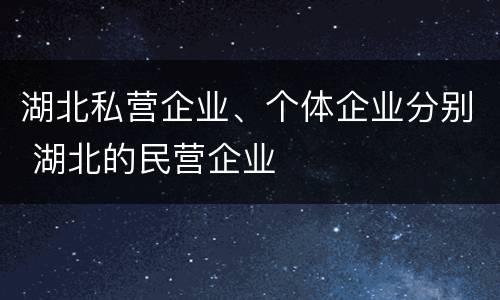 湖北私营企业、个体企业分别 湖北的民营企业