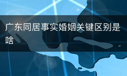广东同居事实婚姻关键区别是啥