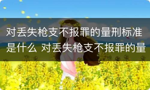 对丢失枪支不报罪的量刑标准是什么 对丢失枪支不报罪的量刑标准是什么意思