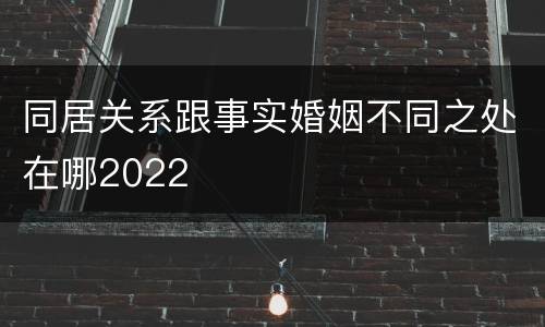 同居关系跟事实婚姻不同之处在哪2022