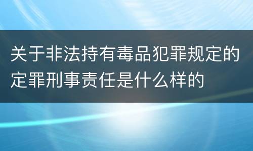 关于非法持有毒品犯罪规定的定罪刑事责任是什么样的
