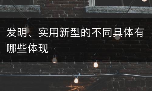 发明、实用新型的不同具体有哪些体现