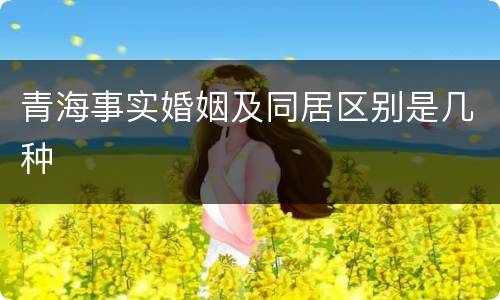 青海事实婚姻及同居区别是几种