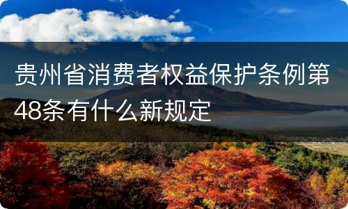 贵州省消费者权益保护条例第48条有什么新规定