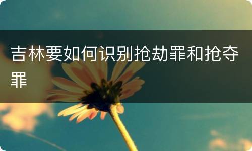 吉林要如何识别抢劫罪和抢夺罪