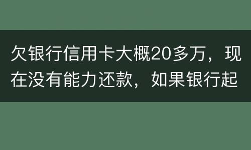 欠银行信用卡大概20多万，现在没有能力还款，如果银行起诉，法院会怎么判决，如果强