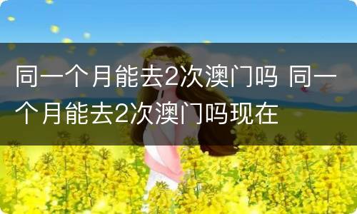 同一个月能去2次澳门吗 同一个月能去2次澳门吗现在