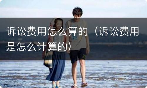 诉讼费用怎么算的(诉讼费用是怎么计算的) 诉讼费用怎么算的(诉讼费用是怎么计算的)