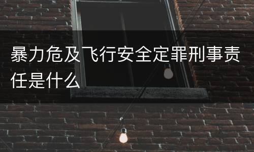 暴力危及飞行安全定罪刑事责任是什么