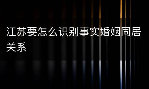 江苏要怎么识别事实婚姻同居关系