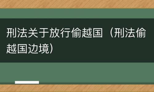 刑法关于放行偷越国（刑法偷越国边境）