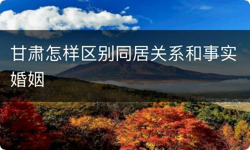 甘肃怎样区别同居关系和事实婚姻