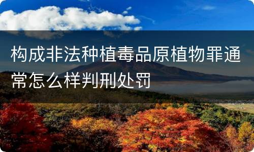 构成非法种植毒品原植物罪通常怎么样判刑处罚