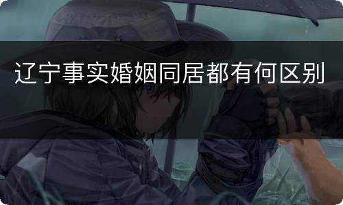 辽宁事实婚姻同居都有何区别