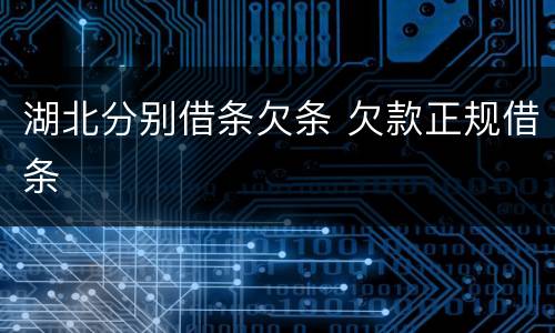 湖北分别借条欠条 欠款正规借条